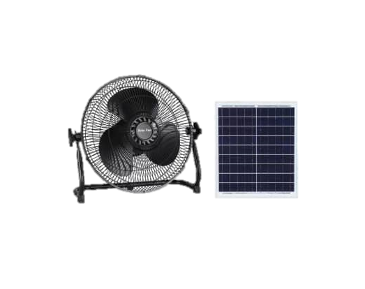 fan